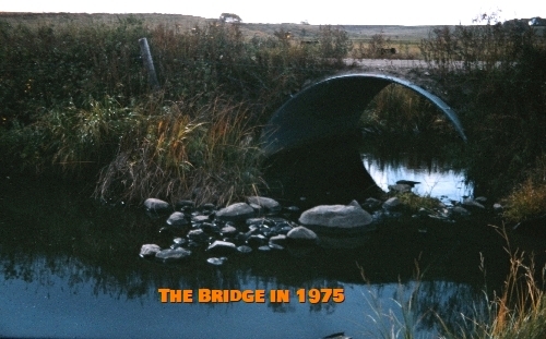 Bugbee's Bridge